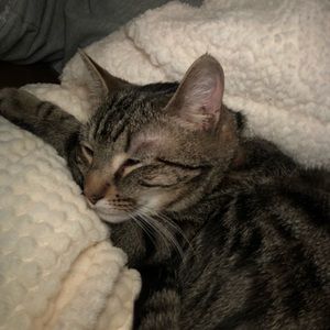 Meet your Posher, Christine